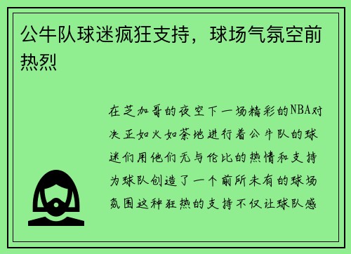 公牛队球迷疯狂支持，球场气氛空前热烈