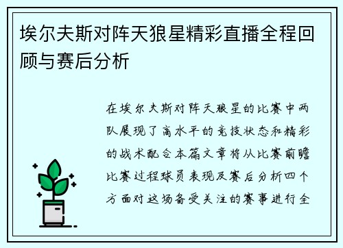 埃尔夫斯对阵天狼星精彩直播全程回顾与赛后分析