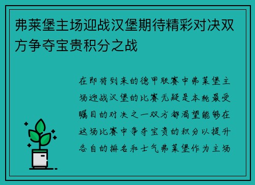 弗莱堡主场迎战汉堡期待精彩对决双方争夺宝贵积分之战