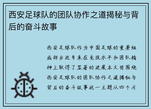 西安足球队的团队协作之道揭秘与背后的奋斗故事