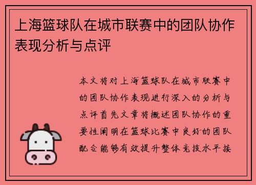 上海篮球队在城市联赛中的团队协作表现分析与点评