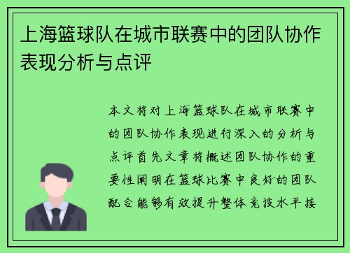 上海篮球队在城市联赛中的团队协作表现分析与点评